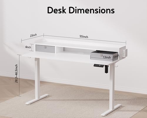 Electric Standing Desk with 2 Drawers, Height Adjustable for Home Office B137