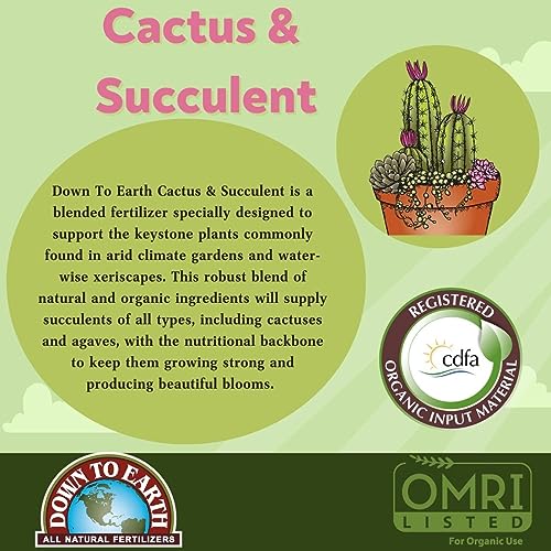 Cactus & Succulent Fertilizer 2-4-8 Mini Box, 1 Pound L6523