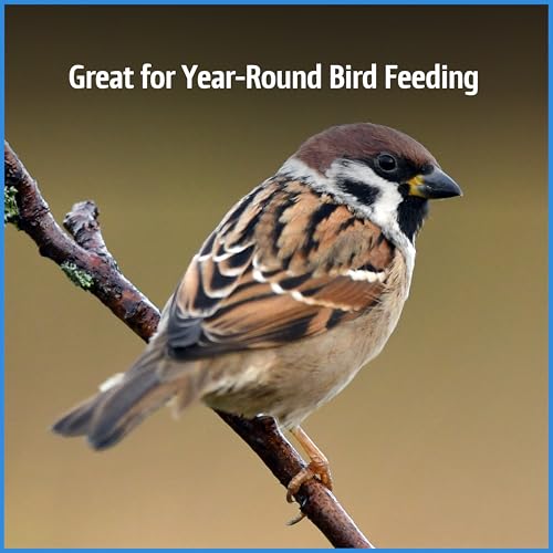 Wild Bird Seed for Outside Feeders, High-Protein, No-Waste, 15-lb Bag F570741