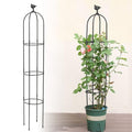 6 Feet Tall Garden Trellis for Climbing Plants Kalolary Garden Tower Obelisk Trellises Rustproof Metal Potted Plant Climbing Support for Indoor Outdoor Flowers Vegetable Fruits Vines Support (White)