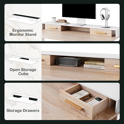 Standing Desk with 4 Drawers, Height Adjustable Electric Sit Stand Desk M218