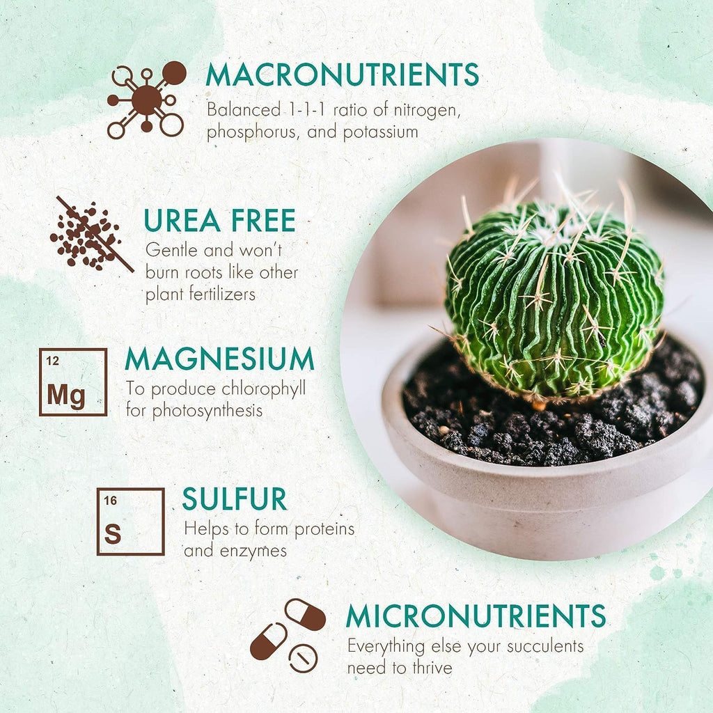 Succulent & Cactus Plant Food, Slow Release Fertilizer for Potted Plants, 5 oz P1948