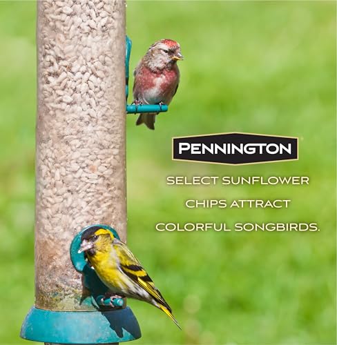 Wild Bird Seed for Outside Feeders, High-Protein, No-Waste, 15-lb Bag F570741