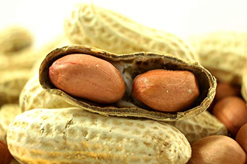 Extra Large Virginia Peanuts for Animals, 25 LBS C6196