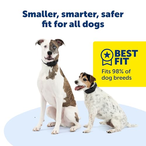 Wireless GPS Dog Fence with Tracking Collar for All Breeds 10 lbs and Above Q189