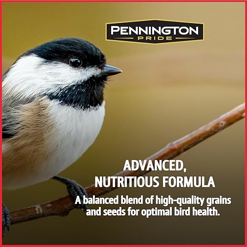 Wild Bird Seed for Outside Feeders, High-Protein, No-Waste, 15-lb Bag F570741