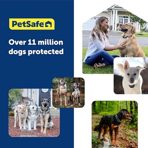 GPS Dog Fence for Yards 3/4 Acres or Larger, Wireless Collar System Y91842
