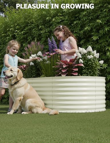 Galvanized Raised Garden Bed for Vegetables, Flowers, Outdoor D165