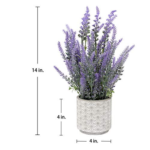 Artificial Lavender Plant in Cement Pot for Home Table Decor J719780