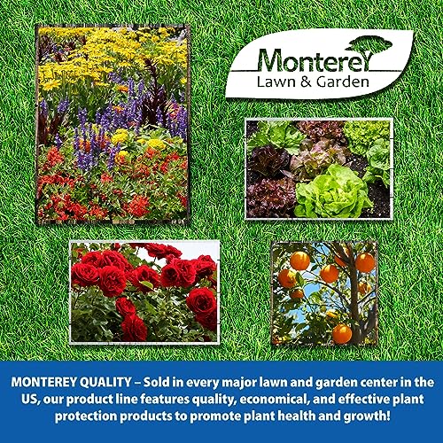 Spurge Power Herbicide, One Pint S23670