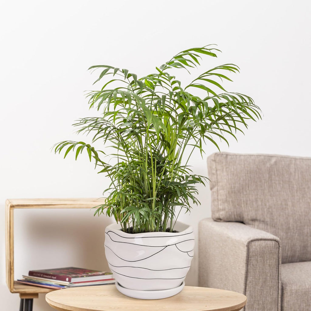 Ceramic Planter Set, 3 Sizes, Indoor Outdoor with Drainage Hole and Saucer T419377