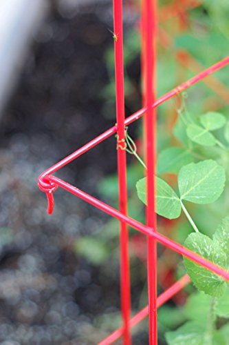Expandable Pea Trellis for Climbing Plants, Powder-Coated Steel, 9'3" L x 64" H S6258