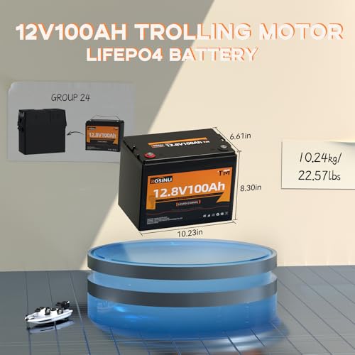 12V 100Ah Group 24 LiFePO4 Battery with 100A BMS, Deep Cycle for RV, Marine, Solar L361