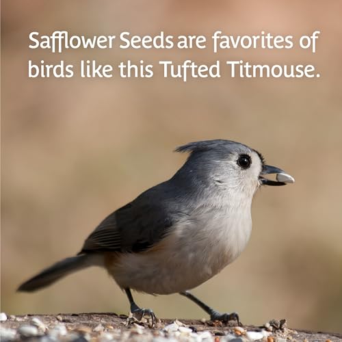 Wild Bird Seed for Outside Feeders, High-Protein, No-Waste, 15-lb Bag F570741