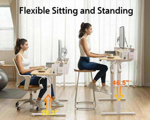 Electric Standing Desk with 2 Drawers, Height Adjustable for Home Office B137
