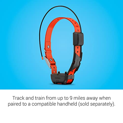 GPS Dog Tracking and Training Collar Z564136