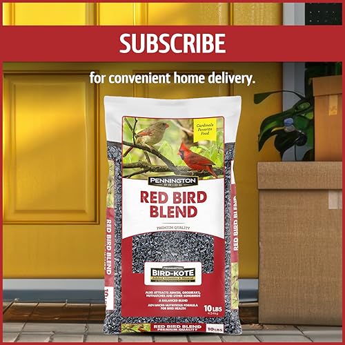 Wild Bird Seed for Outside Feeders, High-Protein, No-Waste, 15-lb Bag F570741