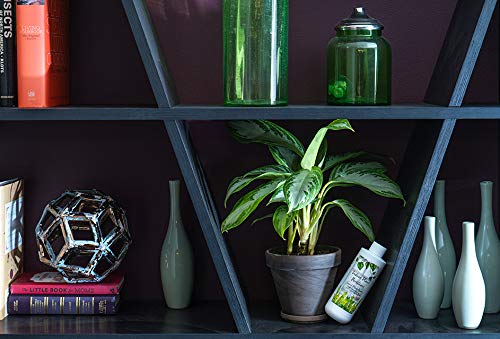Indoor Plant Food Liquid Fertilizer for Potted Houseplants A57873