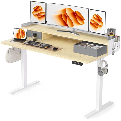 Electric Standing Desk with 2 Drawers, Height Adjustable for Home Office B137