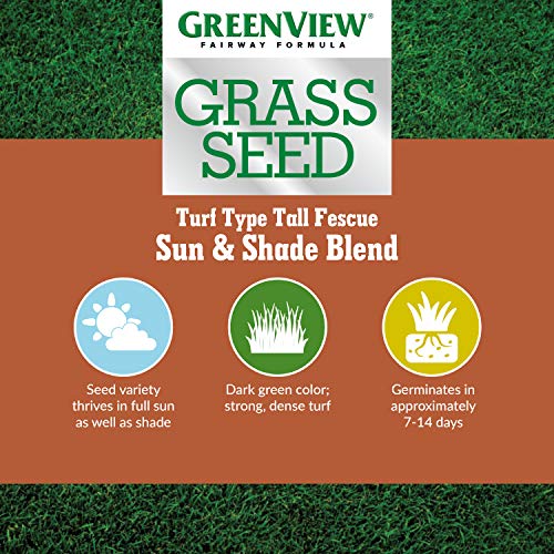 Tall Fescue Grass Seed Sun & Shade Blend, 3 lbs J422