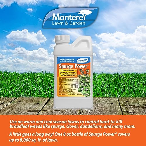 Spurge Power Herbicide, One Pint S23670