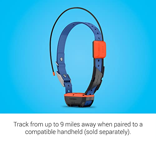 GPS Dog Tracking and Training Collar Z564136