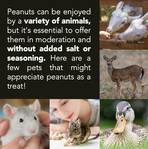 Raw Peanuts for Wildlife, 12 LB Pail X231042