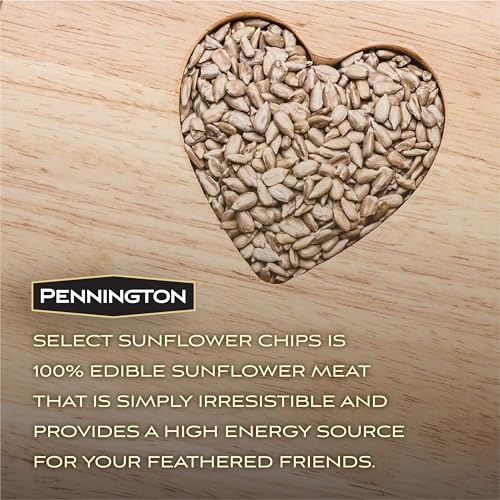 Wild Bird Seed for Outside Feeders, High-Protein, No-Waste, 15-lb Bag F570741