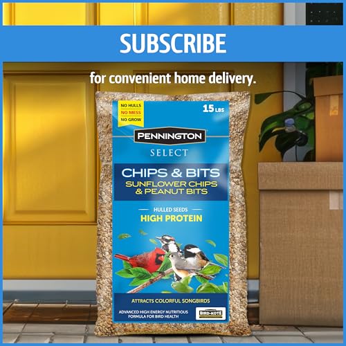 Wild Bird Seed for Outside Feeders, High-Protein, No-Waste, 15-lb Bag F570741