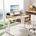 Standing Desk with 4 Drawers, 47.2 x 23.6 Inch Whole Piece Height Adjustable Electric Sit Stand Desk, Computer Home Office Workstation with Open Storage Shelf, Light Walnut