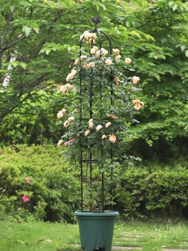 Garden Trellis for Climbing Plants, Rustproof Metal, 6 ft Tall, White E995