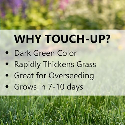 Perennial Ryegrass Grass Seed for Cool Season Lawns, 3 lb G895