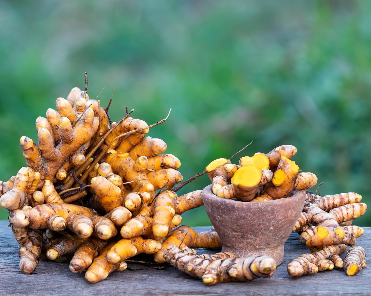 Turmeric Roots for Planting, 1 lb Raw Rhizomes N715330