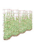 Gardener's Supply Company Sturdy Expandable Pea Trellis for Climbing Plants | Multi-Use Heavy Duty Outdoor Garden Peas, Tomato, Cucumber Plant Support | Powder-Coated Steel, 9'-3" L x 64" H - Green