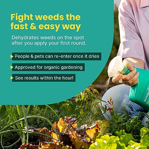 Organic Weed Killer Spray, 32oz, 2 Pack L763574