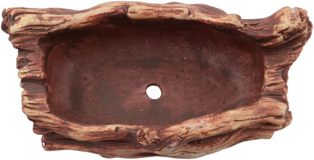 Wood Stump Planter with Drainage Hole for Succulents W12399