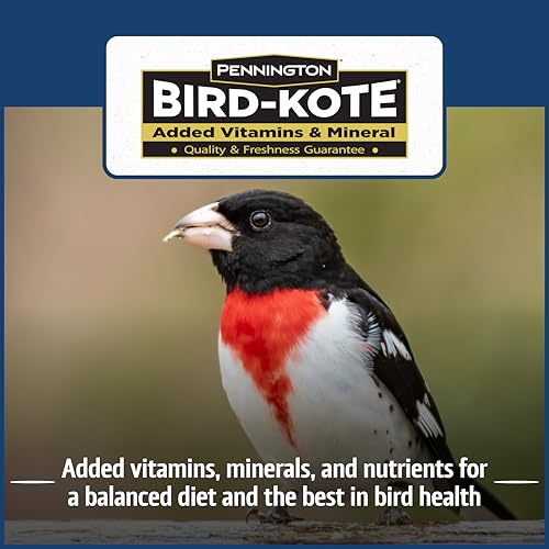 Wild Bird Seed for Outside Feeders, High-Protein, No-Waste, 15-lb Bag F570741
