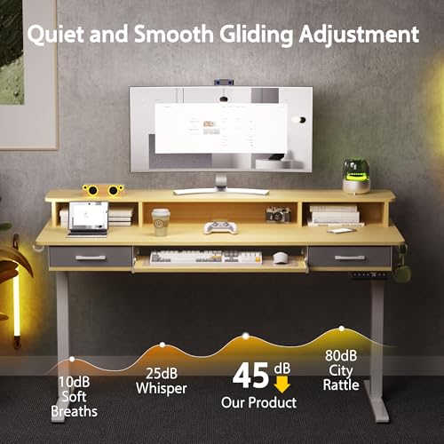 Electric Standing Desk with 2 Drawers, Height Adjustable for Home Office B137