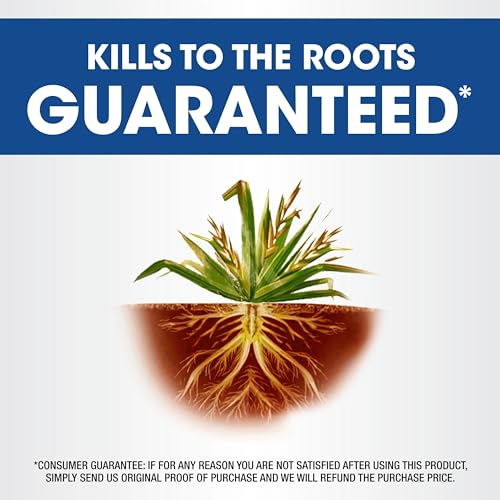 Weed & Grass Killer Concentrate, 0.5 gal A875007