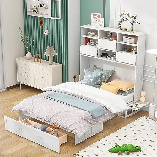 Queen Size Murphy Bed with Cabinet and LED Lights P178570