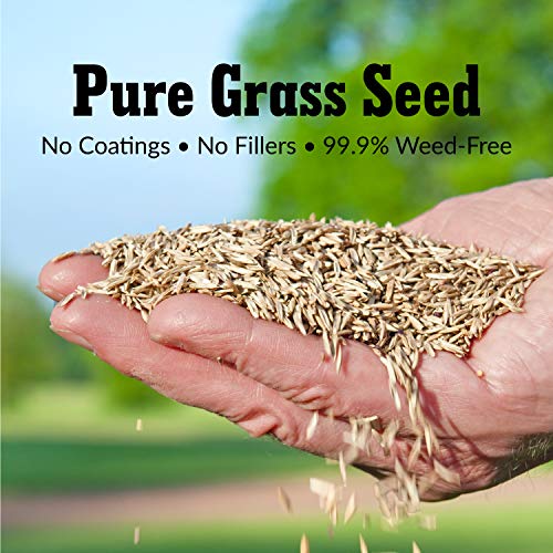 Tall Fescue Grass Seed Sun & Shade Blend, 3 lbs J422