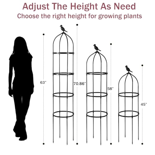 Round Trellis for Climbing Plants, Rustproof, 6ft M817