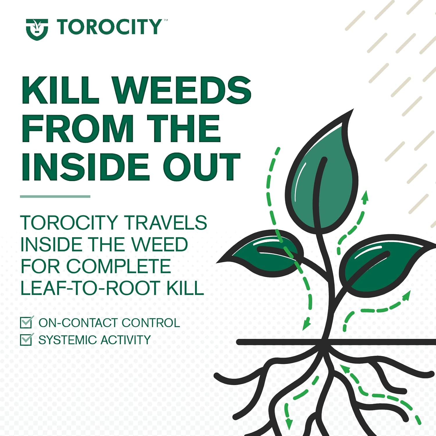 Turf Herbicide Mesotrione Concentrate, Selective Weed Killer for Lawns A287031