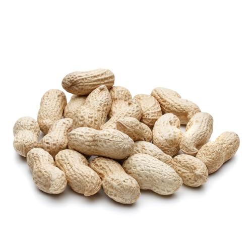 Wildlife Feed Raw Peanuts (12 LB Pail) - Our in-Shell Peanuts are The Ideal Critter Food to Attract Squirrels, Birds, Deer and Other Diverse Wildlife.