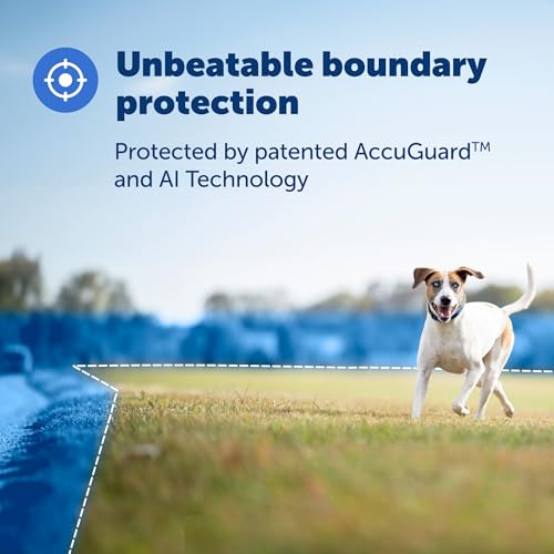 GPS Dog Fence Collar with App Tracking, Waterproof Rechargeable O461899