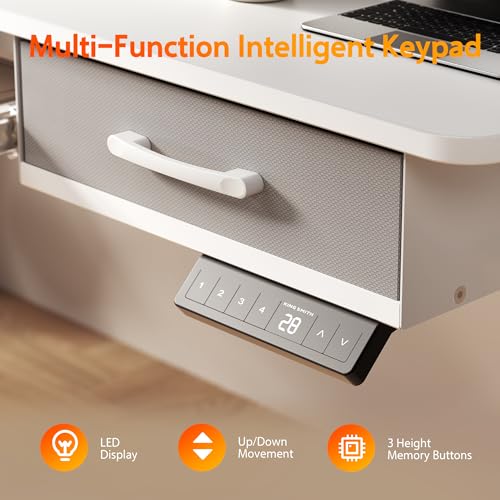 Electric Standing Desk with 2 Drawers, Height Adjustable for Home Office B137