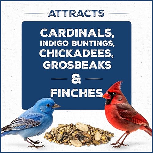 Wild Bird Seed for Outside Feeders, High-Protein, No-Waste, 15-lb Bag F570741