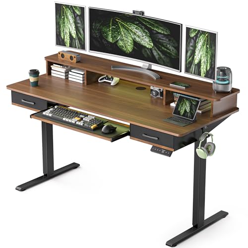 Electric Standing Desk with 2 Drawers, Height Adjustable for Home Office B137