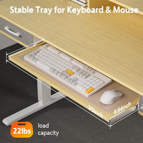 Electric Standing Desk with 2 Drawers, Height Adjustable for Home Office B137