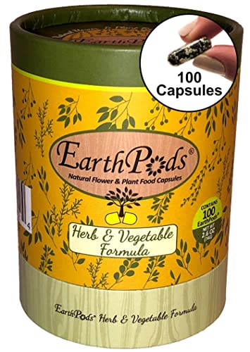Organic Succulent Plant Food Spikes + Christmas Cactus Fertilizer Sticks (100 Concentrated Capsules) - Succulent Fertilizer Indoor Potted Plants - Cactus Food - Succulent Food - Made in USA